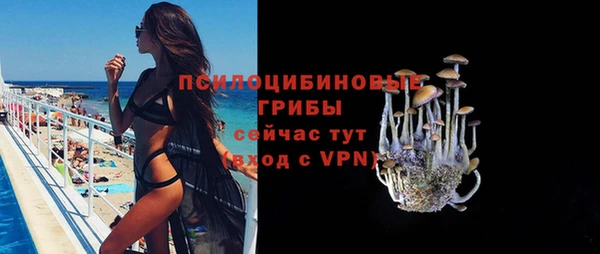 винт Куйбышев