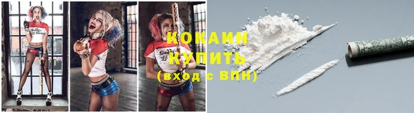 дмт Липки