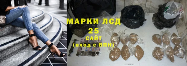 гашик Богородицк