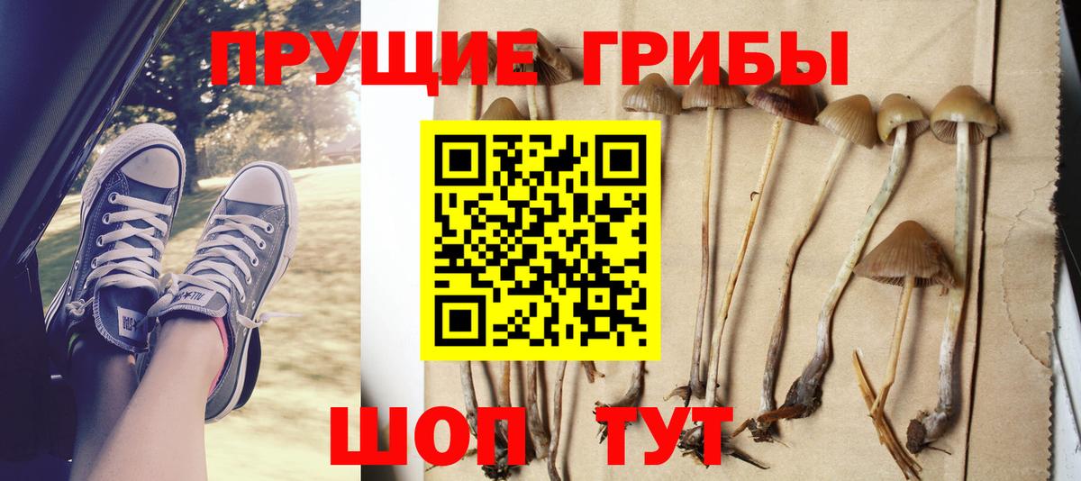 Галлюциногенные грибы Magic Shrooms Изобильный